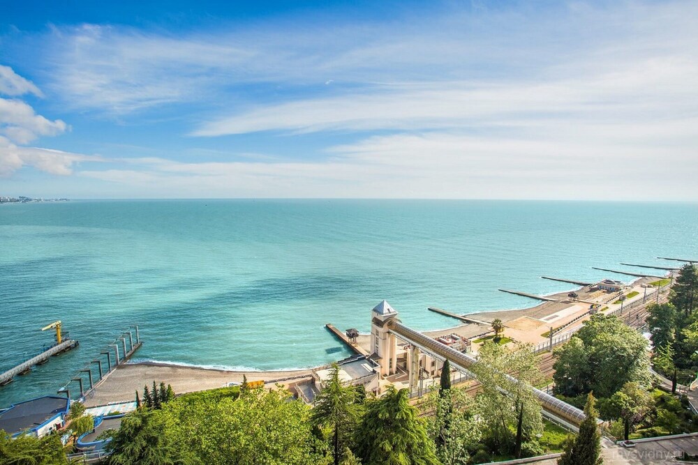 Хоста Краснодарский Край Фото Хоста Краснодарский Край Фото